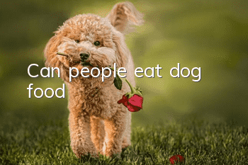 Can people eat dog food?