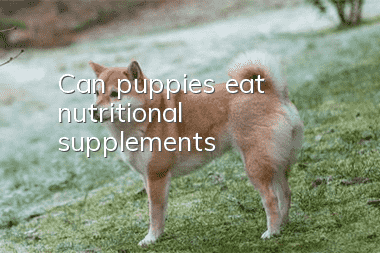 Can puppies eat nutritional supplements?
