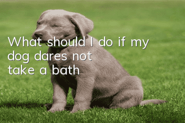 What should I do if my dog dares not take a bath?
