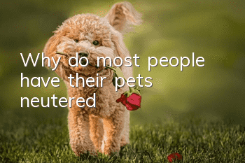 Why do most people have their pets neutered?