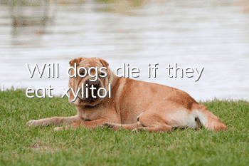 Will dogs die if they eat xylitol?