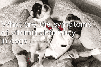 What are the symptoms of vitamin deficiency in dogs?