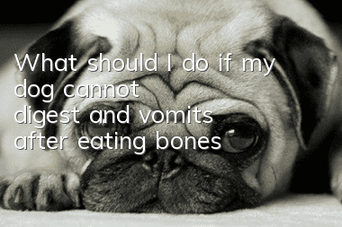 What should I do if my dog cannot digest and vomits after eating bones?