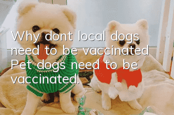 Why don’t local dogs need to be vaccinated? Pet dogs need to be vaccinated.