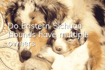 Do Eastern Sichuan Hounds have multiple owners?