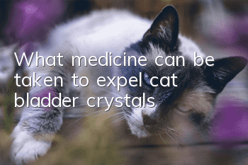 What medicine can be taken to expel cat bladder crystals?
