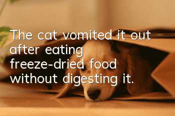 The cat vomited it out after eating freeze-dried food without digesting it.