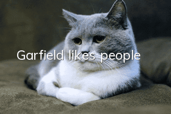 Garfield likes people