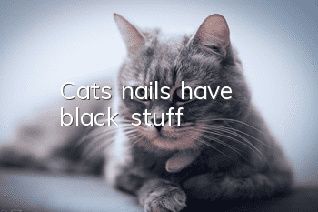 Cat's nails have black stuff