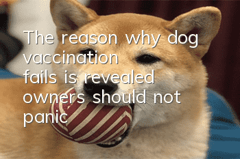 The reason why dog vaccination fails is revealed, owners should not panic!