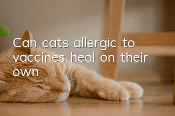 Can cats allergic to vaccines heal on their own?