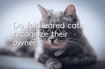 Do fold-eared cats recognize their owners?