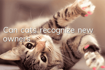 Can cats recognize new owners?