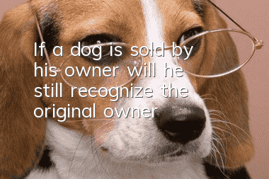 If a dog is sold by his owner, will he still recognize the original owner?
