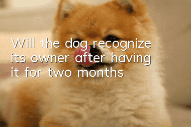 Will the dog recognize its owner after having it for two months?