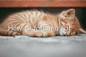 How to fatten a cat