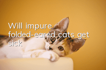 Will impure folded-eared cats get sick?