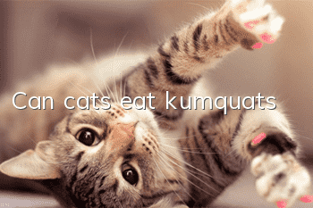 Can cats eat kumquats?
