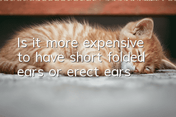 Is it more expensive to have short folded ears or erect ears?
