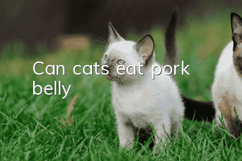 Can cats eat pork belly?