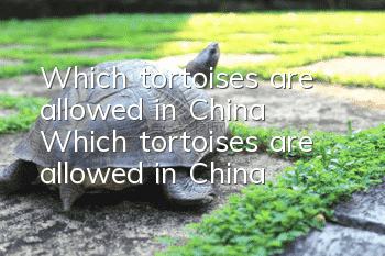 Which tortoises are allowed in China? Which tortoises are allowed in China?