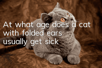 At what age does a cat with folded ears usually get sick?