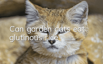 Can garden cats eat glutinous rice?