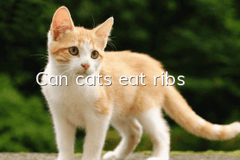Can cats eat ribs?