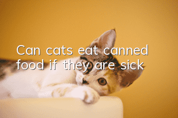 Can cats eat canned food if they are sick?