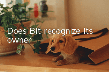 Does Bit recognize its owner?