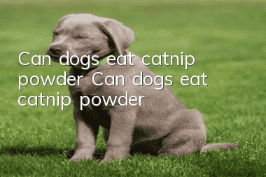 Can dogs eat catnip powder? Can dogs eat catnip powder?