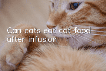 Can cats eat cat food after infusion?