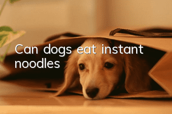 Can dogs eat instant noodles?