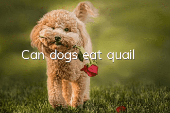 Can dogs eat quail?