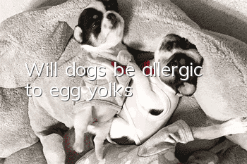 Will dogs be allergic to egg yolks?