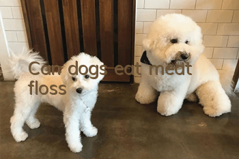 Can dogs eat meat floss?