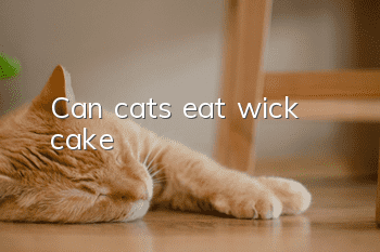 Can cats eat wick cake?