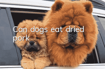 Can dogs eat dried pork?