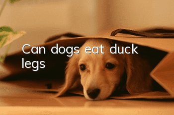 Can dogs eat duck legs?