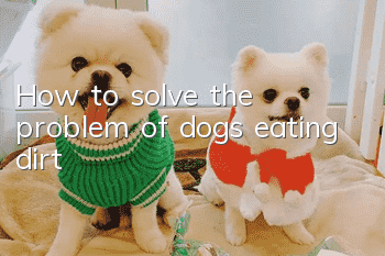 How to solve the problem of dogs eating dirt