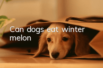 Can dogs eat winter melon?