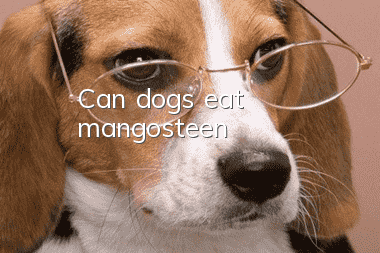Can dogs eat mangosteen?
