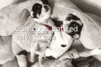 Can dogs eat red velvet cake?