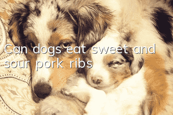 Can dogs eat sweet and sour pork ribs?