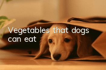 Vegetables that dogs can eat