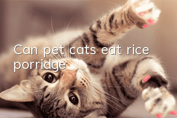 Can pet cats eat rice porridge?
