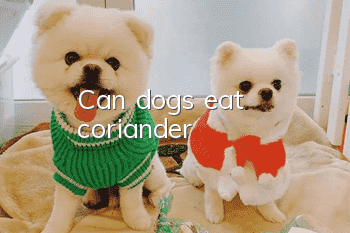 Can dogs eat coriander?