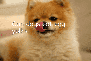 Can dogs eat egg yolks?
