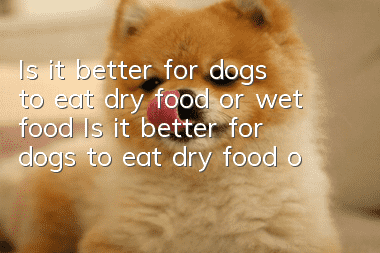 Is it better for dogs to eat dry food or wet food? Is it better for dogs to eat dry food or wet food?