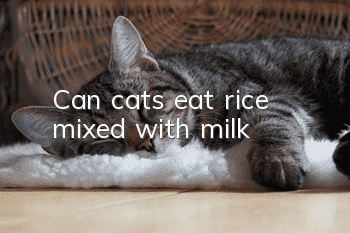 Can cats eat rice mixed with milk?